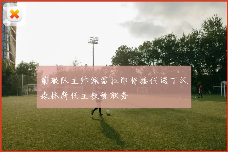 前狼队主帅佩雷拉即将接任诺丁汉森林新任主教练职务